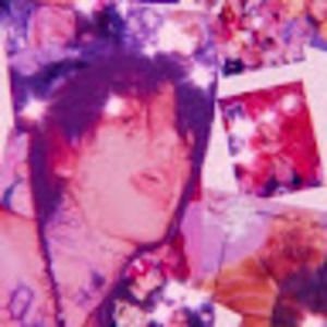 Meet your Posher, Maya